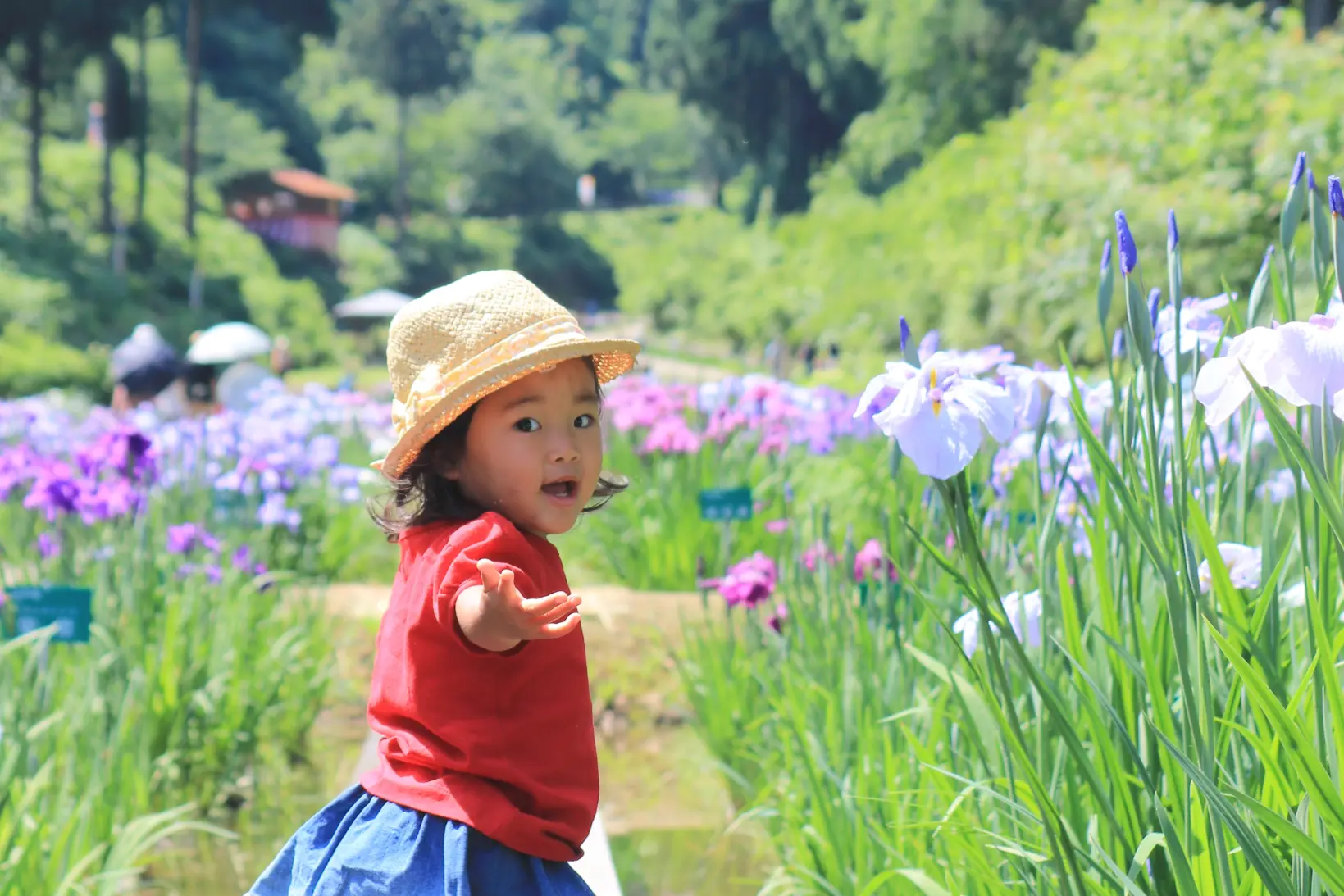 梅雨の時期に行こう！お花だけではない魅力のある「頼成の森 花しょうぶ祭り」-1