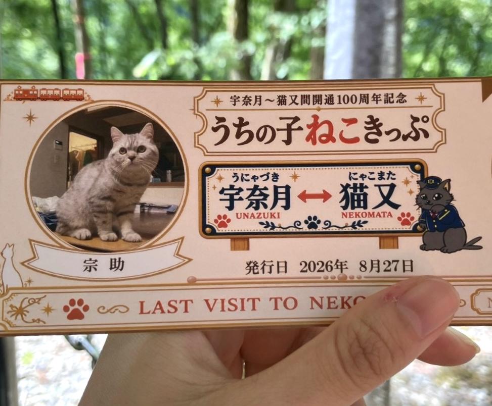 愛猫がきっぷになる！？「うちの子ねこきっぷ」を持って黒部峡谷トロッコ電車へ