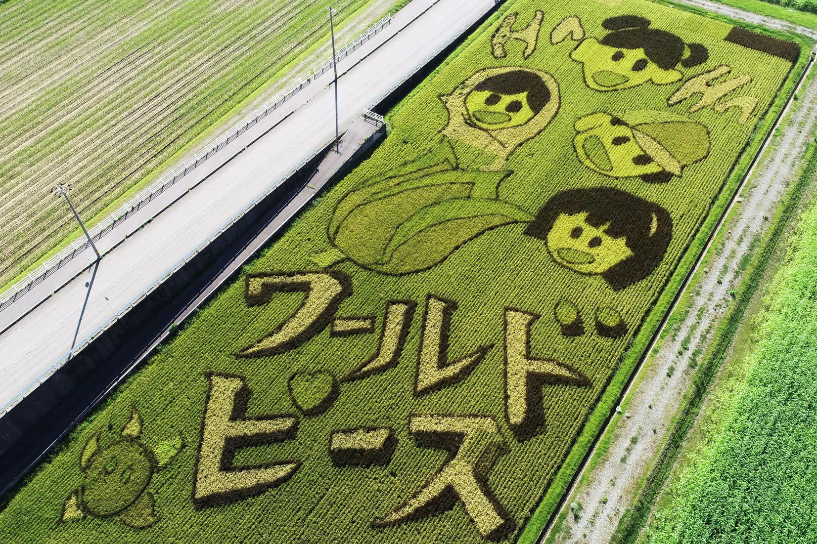 朝日町に舟川べり田んぼアート＆彼岸花を見に行ってきた！-1