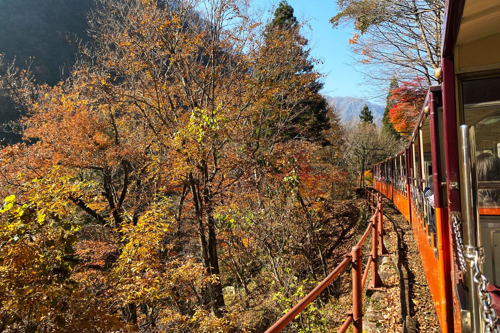秋の富山観光おすすめルート！トロッコ→黒薙温泉の紅葉→露天風呂