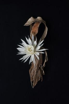 水墨美術館企画展「超絶技巧、未来へ！明治工芸とそのDNA」開催のおしらせ-2