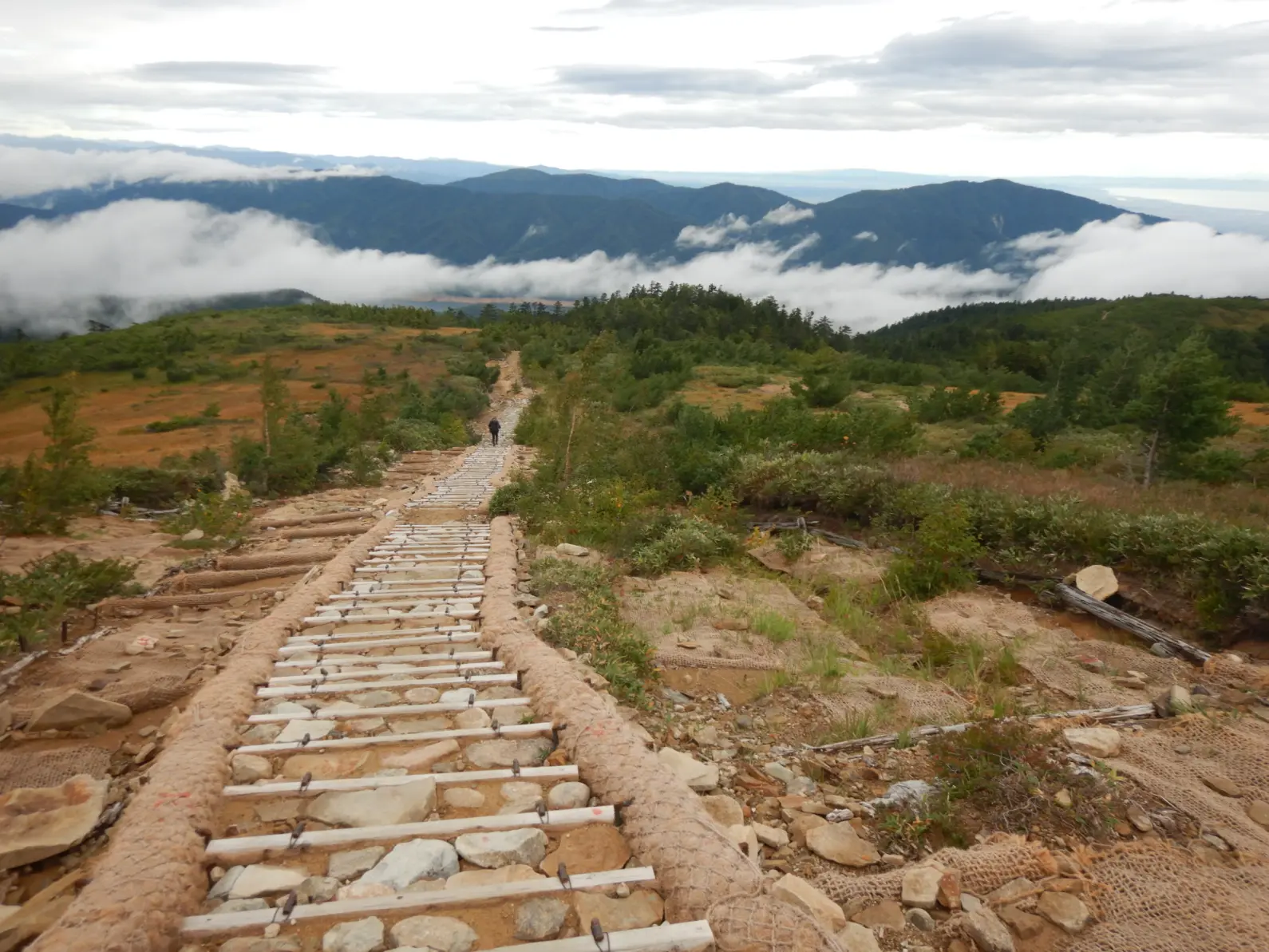 登山道、園路等の施設整備状況について更新しました-1