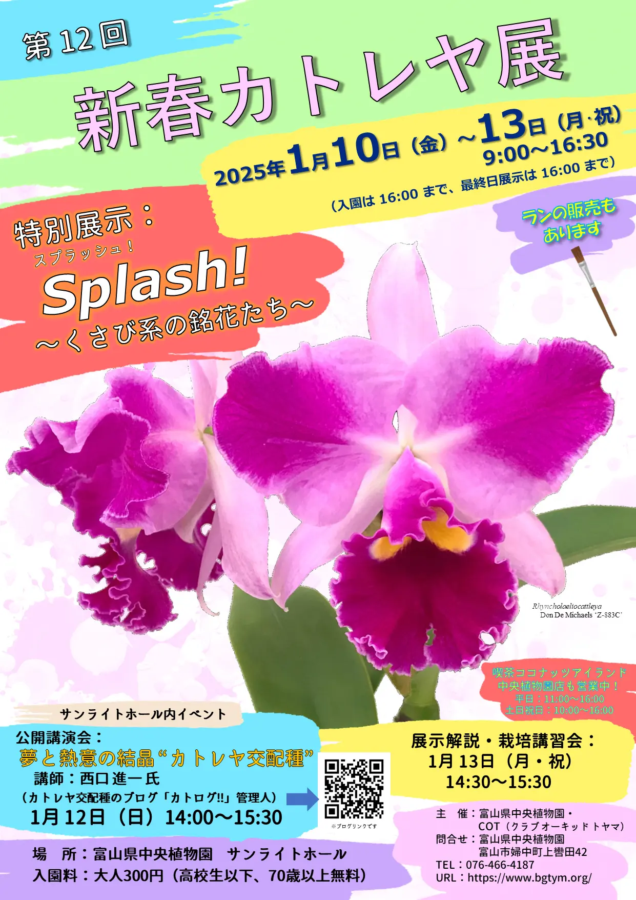 【富山県中央植物園】第12回新春カトレヤ展開催（2025.1/10～13）-1