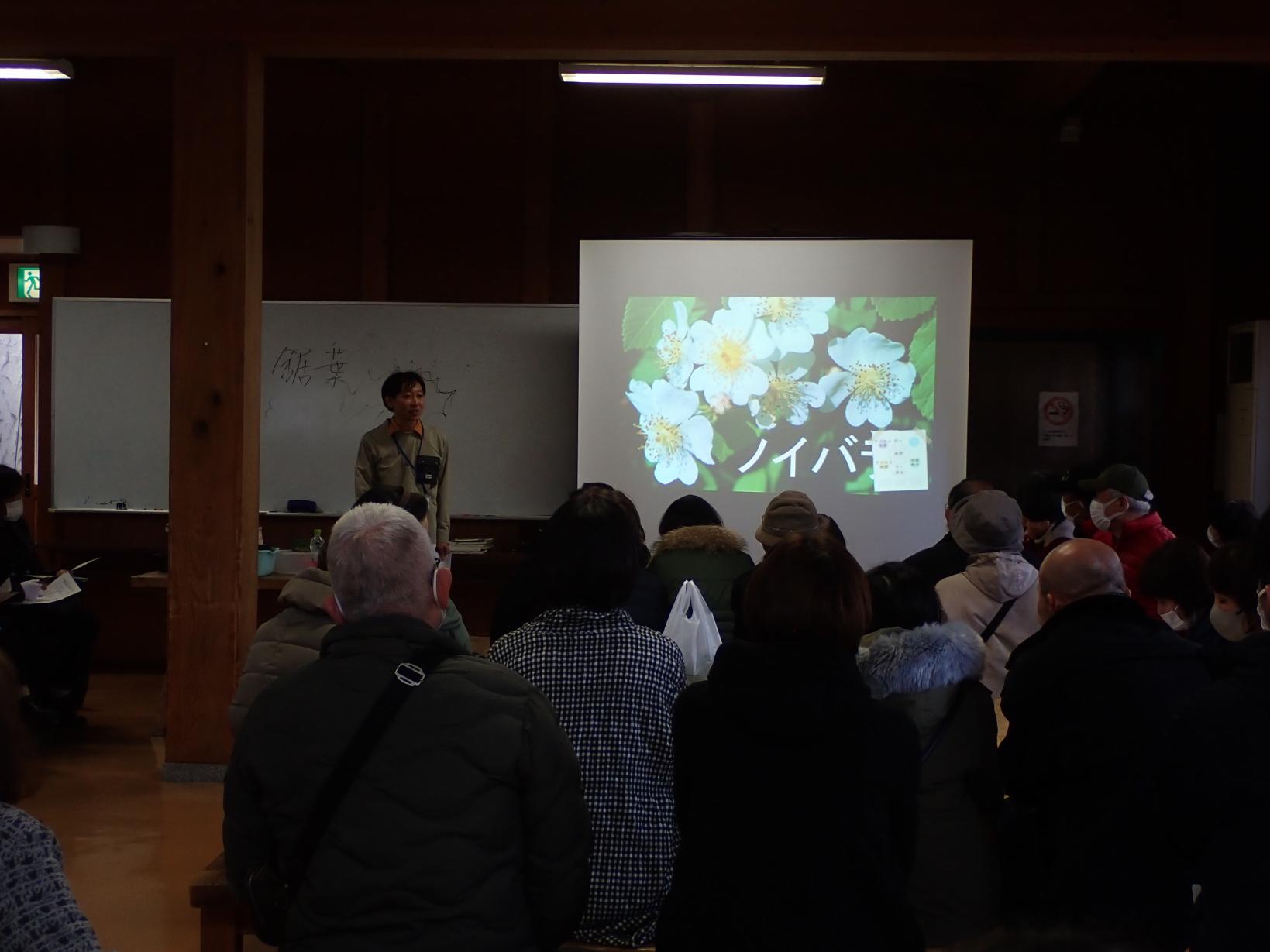 【富山県中央植物園】第12回クリスマスローズ展 開催（2/22(土)～24（月・振））-3