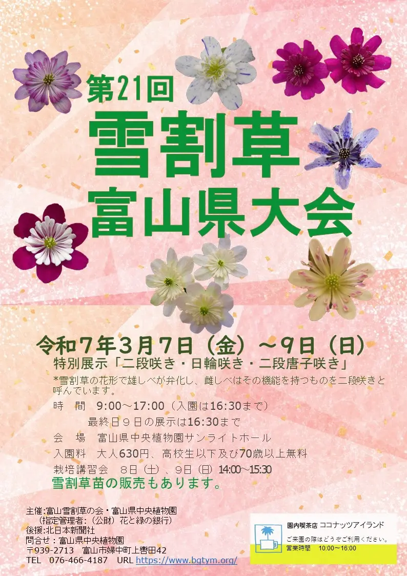 【富山県中央植物園】「第21回雪割草富山県大会」を開催します-1