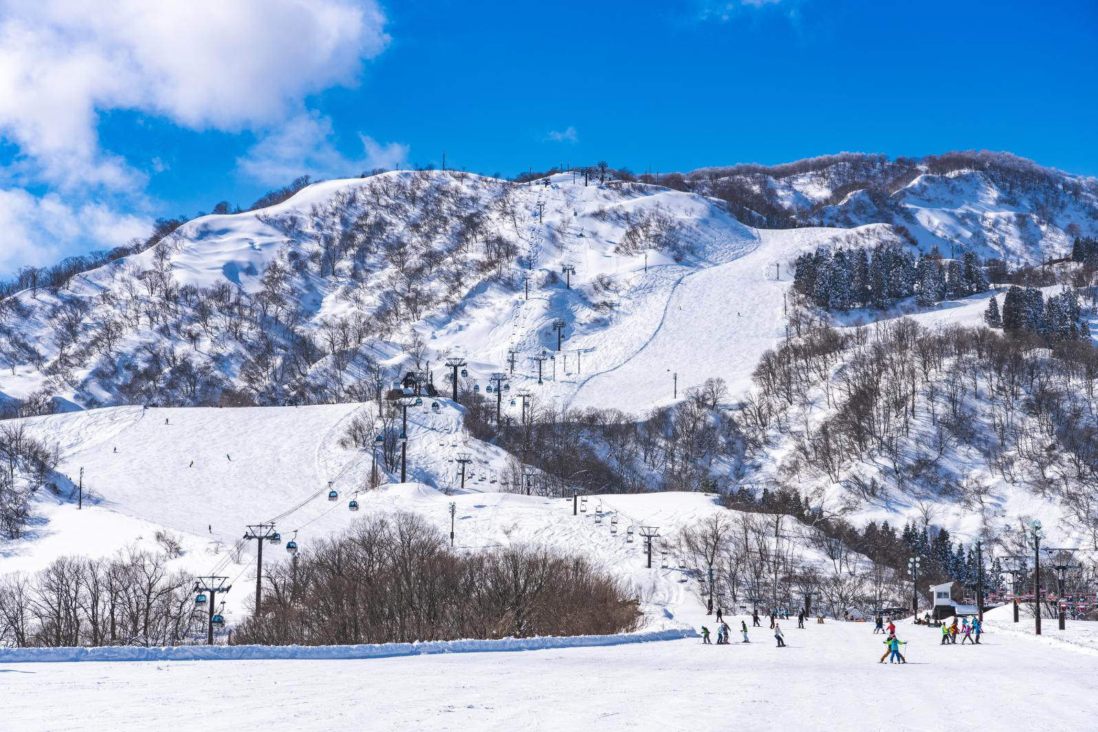 富山の冬を遊び尽くせ。県内スキー場へ行こう！-2