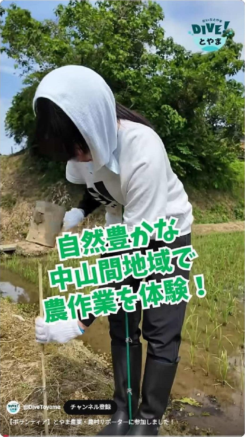 「DIVE！とやま」で「とやま農業・農村サポーター」が紹介されました！-1