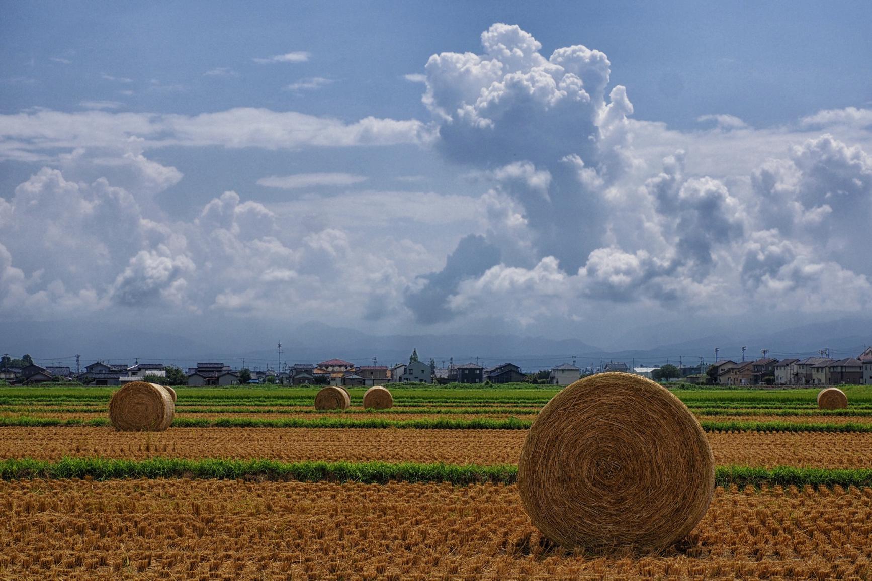 第14回「とやまの農山村写真展」受賞作品巡回展示のお知らせ-2