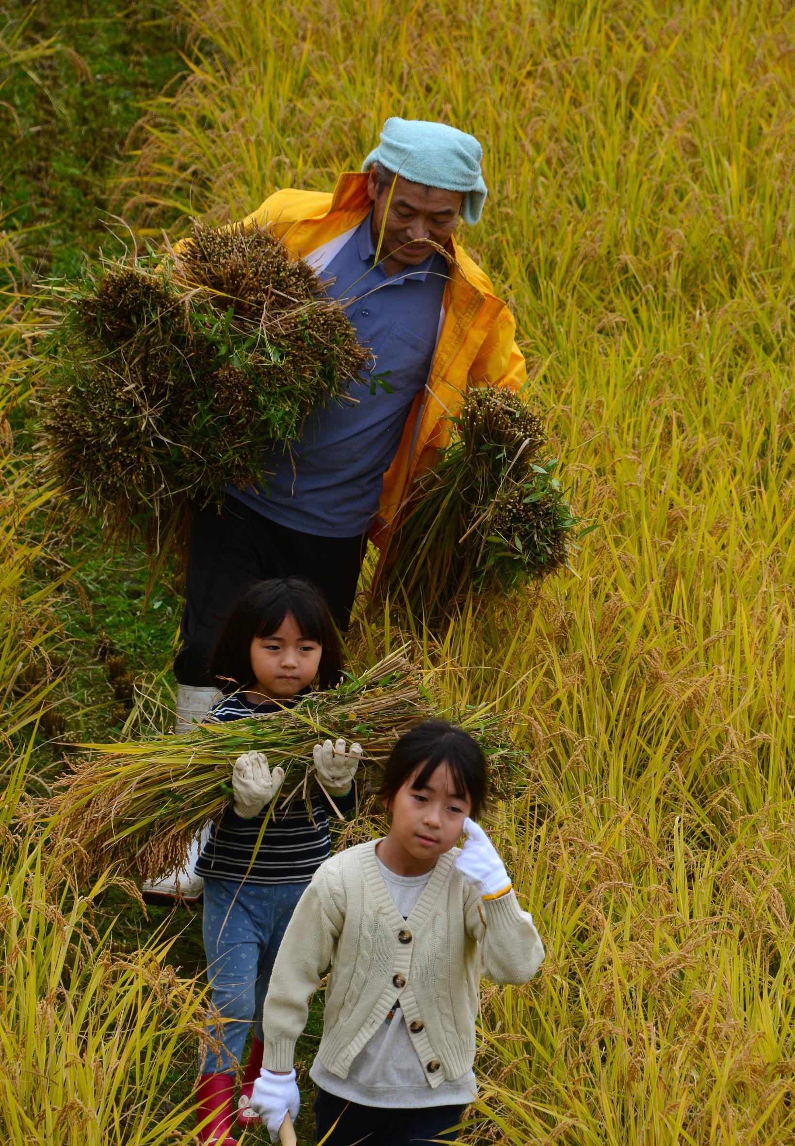 第14回「とやまの農山村写真展」受賞作品巡回展示のお知らせ-1
