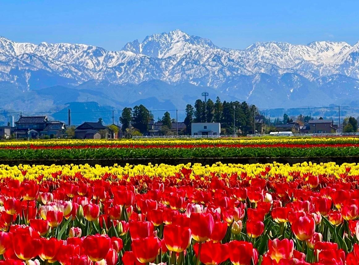 第14回「とやまの農山村写真展」受賞作品巡回展示のお知らせ-3