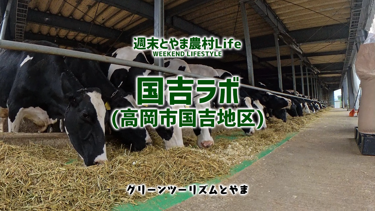 「週末とやま農村Life」のVR動画を公開しました！-3