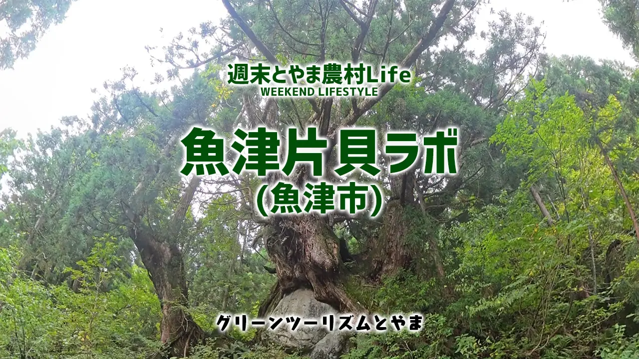 「週末とやま農村Life」のVR動画を公開しました！-2