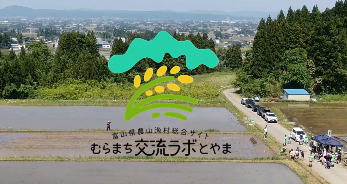 【空撮動画公開】初夏の志観寺を空から。田植え体験の風景をご紹介します！-1