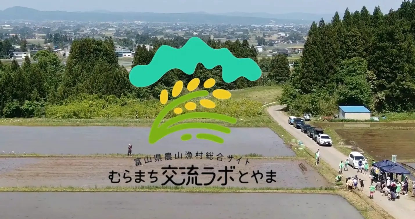 【空撮動画公開】初夏の志観寺を空から。田植え体験の風景をご紹介します！-1