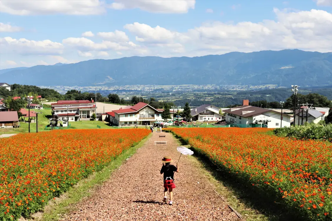【2026年】9月25日・26日の富山県内のお祭り・イベント情報-1