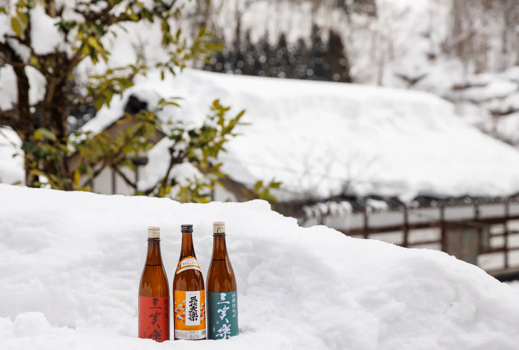 【アーカイブ公開と限定販売について】富山の新酒と冬の特産品プレゼントキャンペーン　オンライン蔵元見学-1