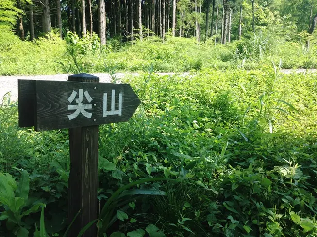 トレッキングの季節がやってきました～♪-1