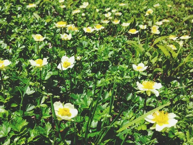 立山ロケハン☆彡-3