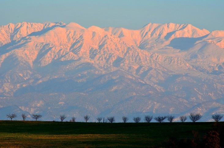 2014★あけましておめでとうございます-1