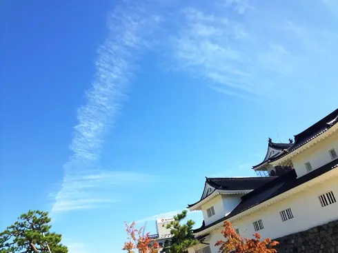 いわし雲。-2