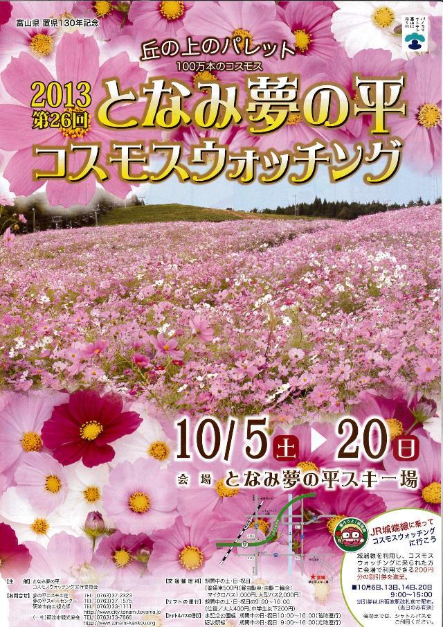 となみ夢の平　コスモス～♪-5