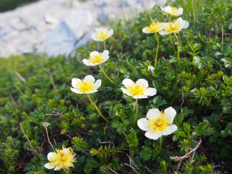 映画「春を背負って」の舞台へ-3