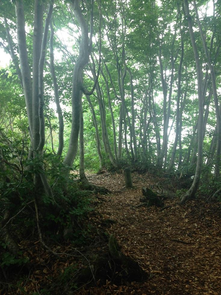 富山１００名山「負釣山」☆-2