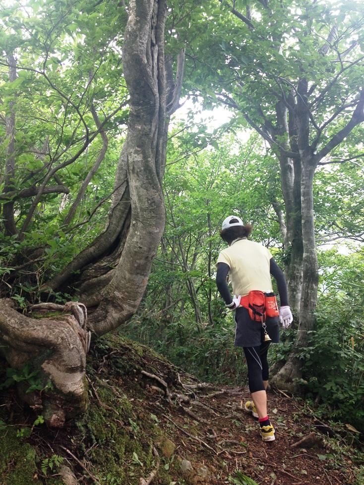 富山１００名山「負釣山」☆-3
