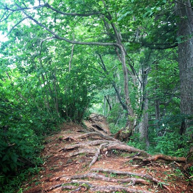 富山１００名山「負釣山」☆-4