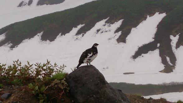 映画「春を背負って」山頂ロケ開始☆-5