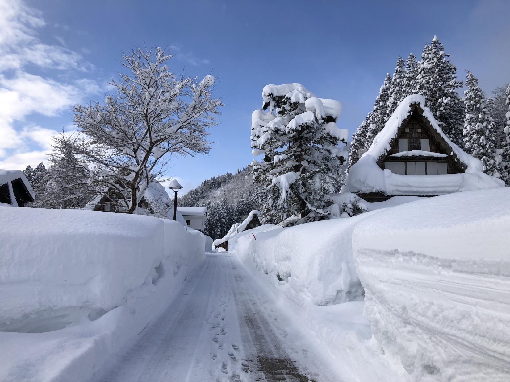 この頃、日中の相倉集落の様子は・・-1