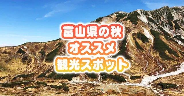 地元民お墨付きのお出かけスポット！-1