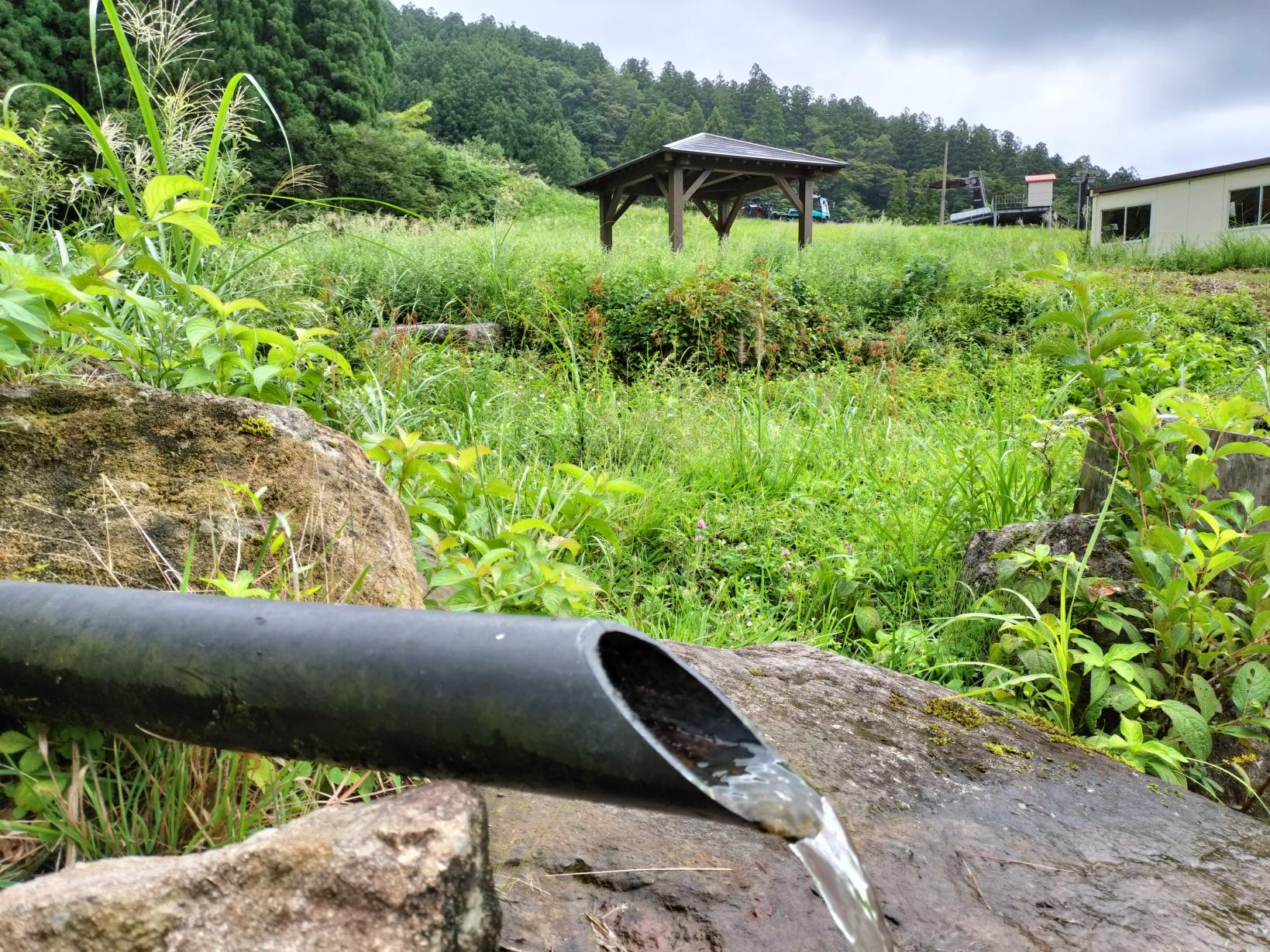 龍神の湧水-1