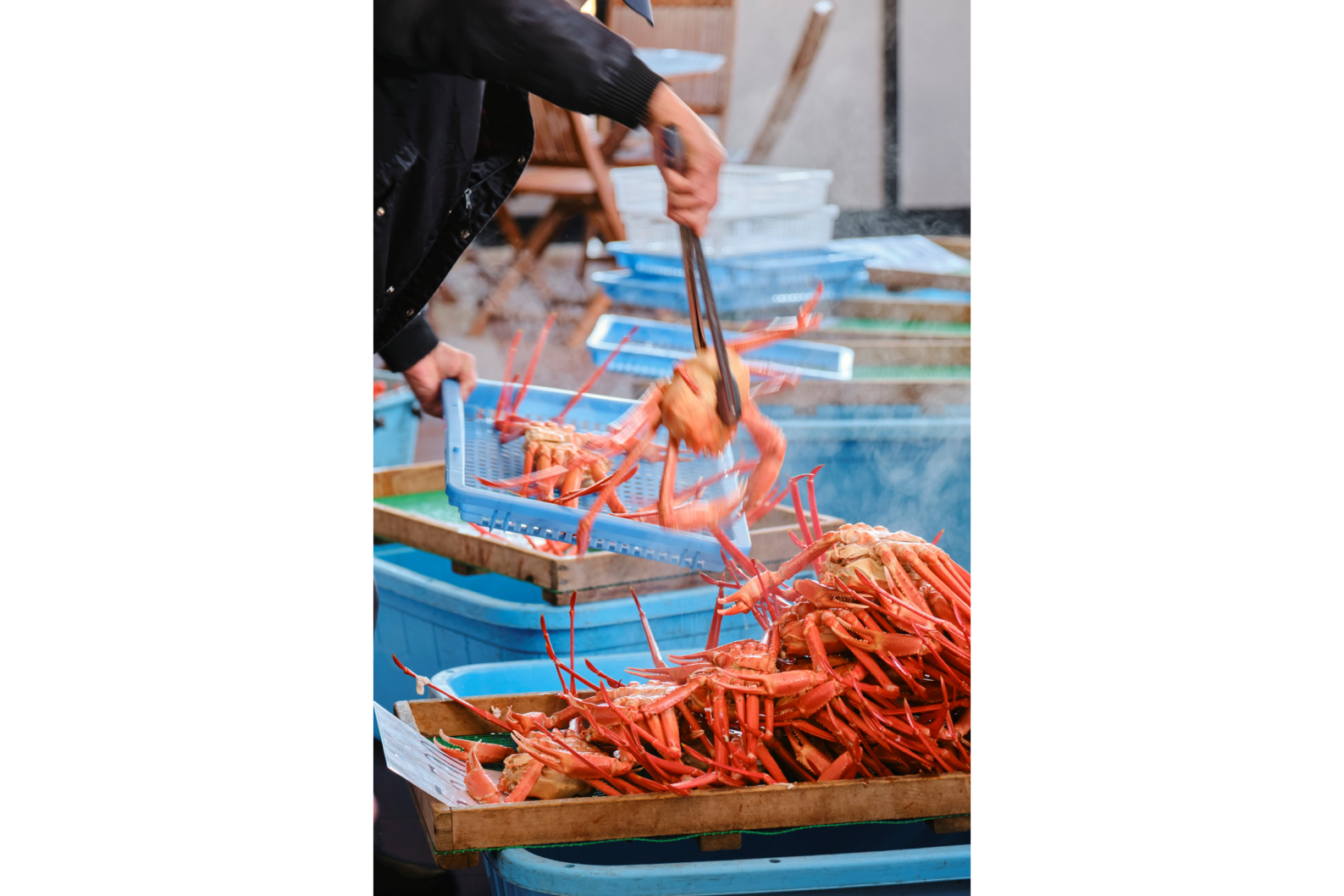 競られたカニがすぐ食べられる！？新湊カニ一番屋-1