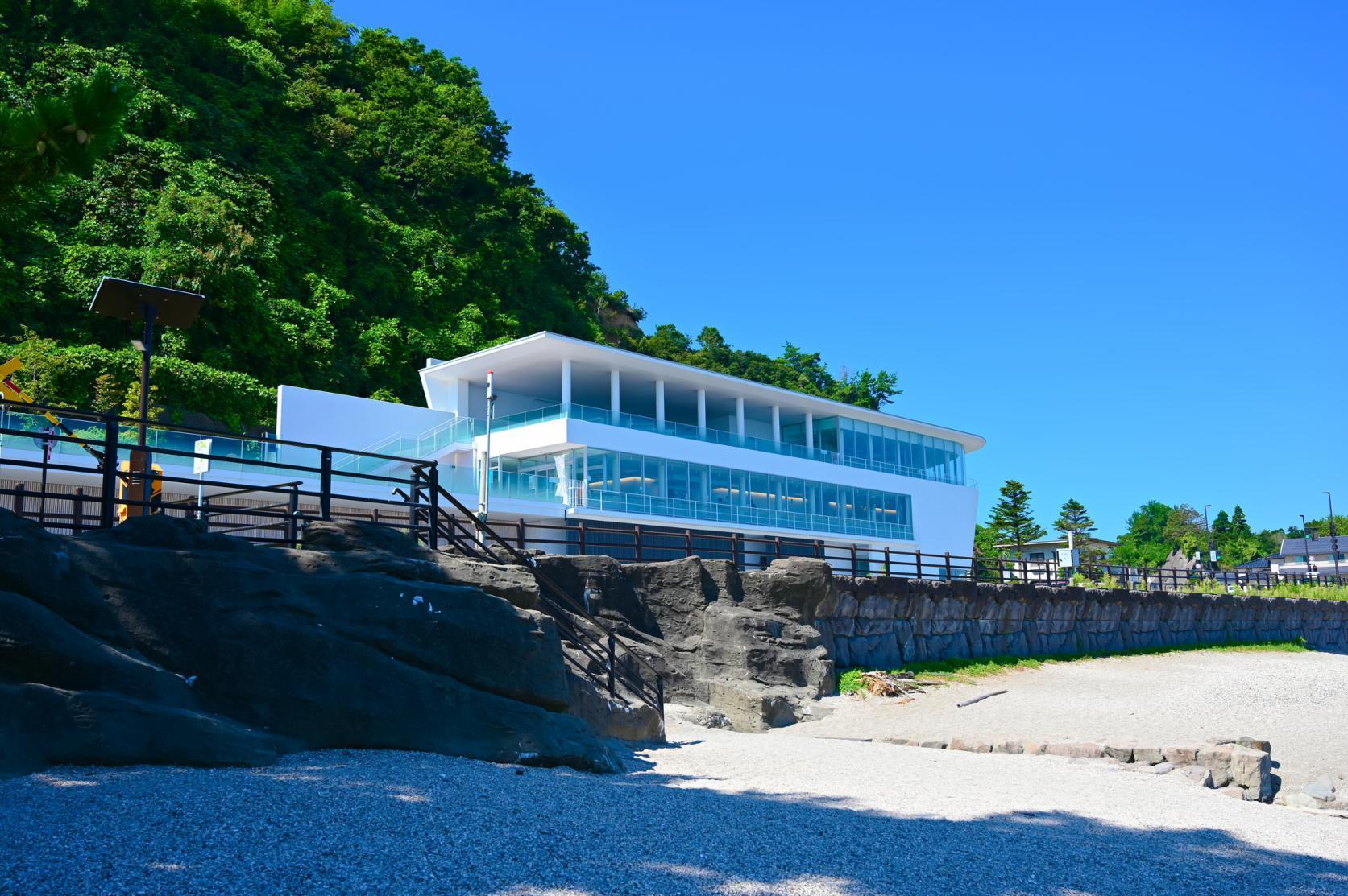 海と山を望む、開放感溢れる道の駅-1