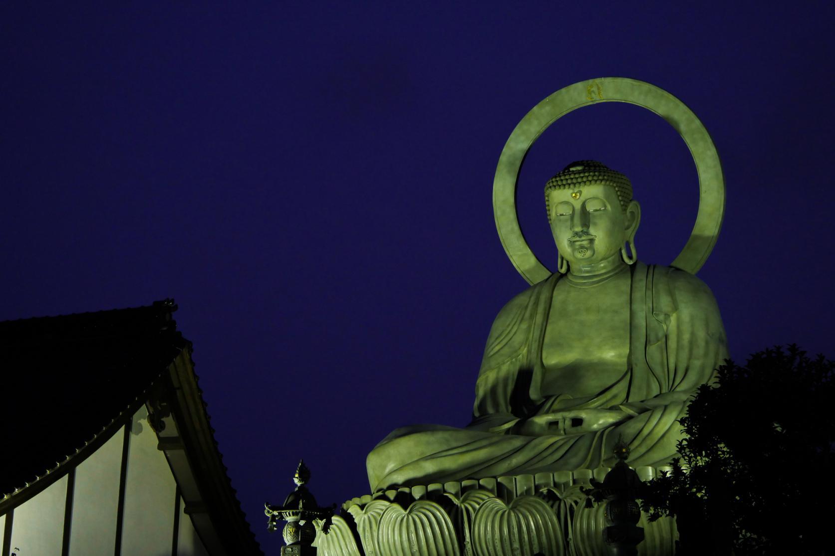 夜の高岡大仏-1