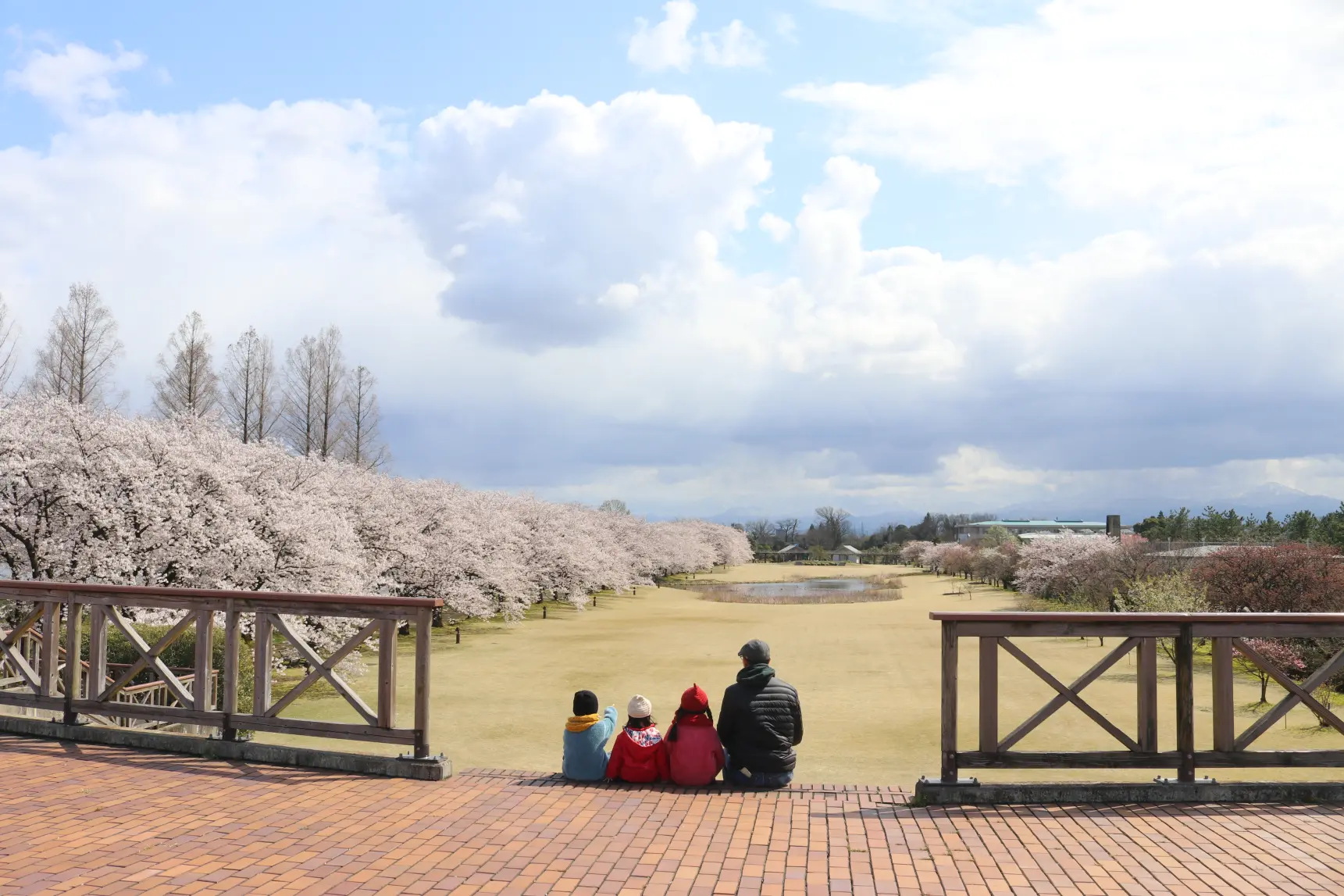 「富山県中央植物園」の魅力に迫る！-1