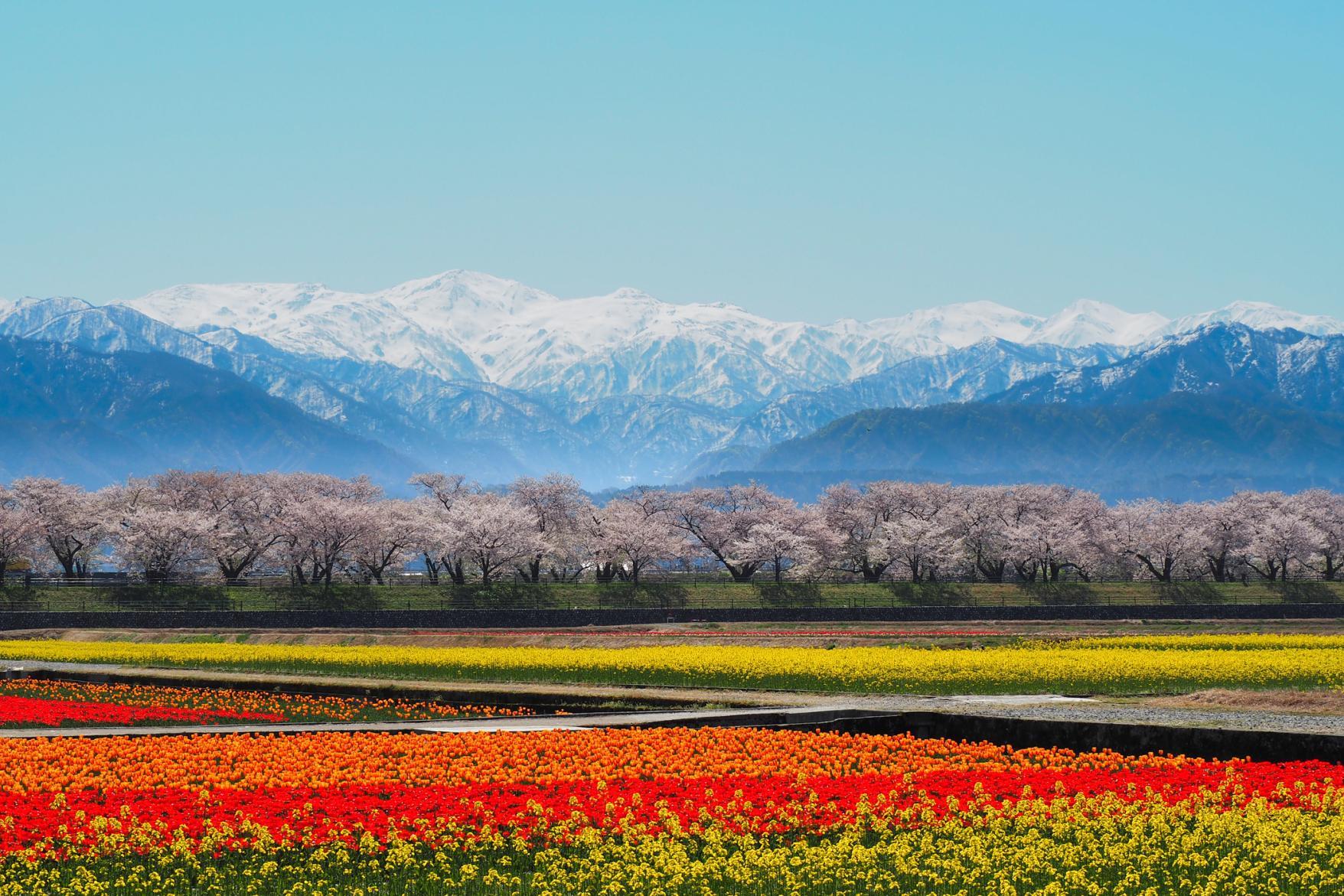 朝日町エリア観光ガイド-1