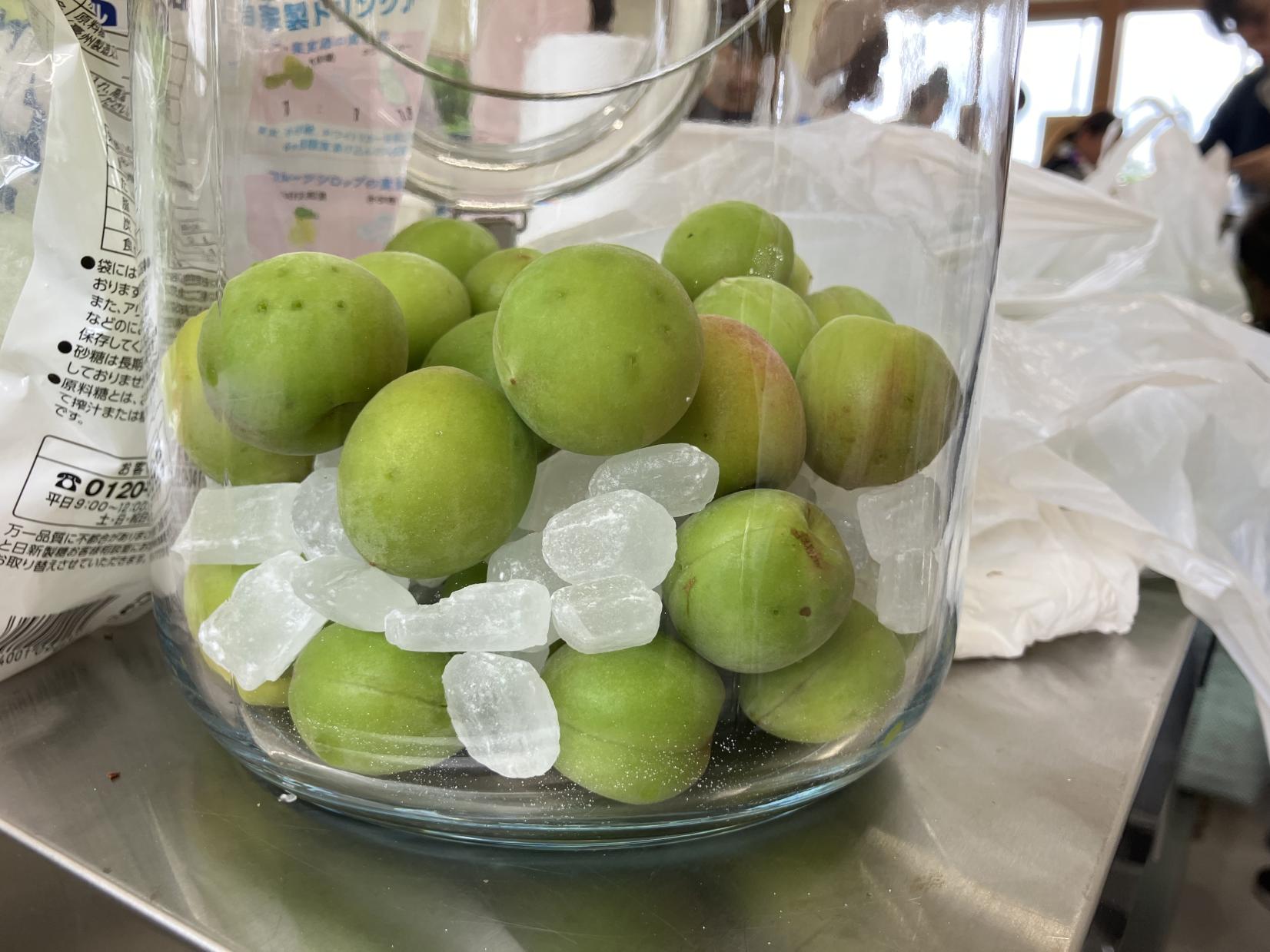 夏にぴったり！稲積梅で梅シロップを作ってみよう-1
