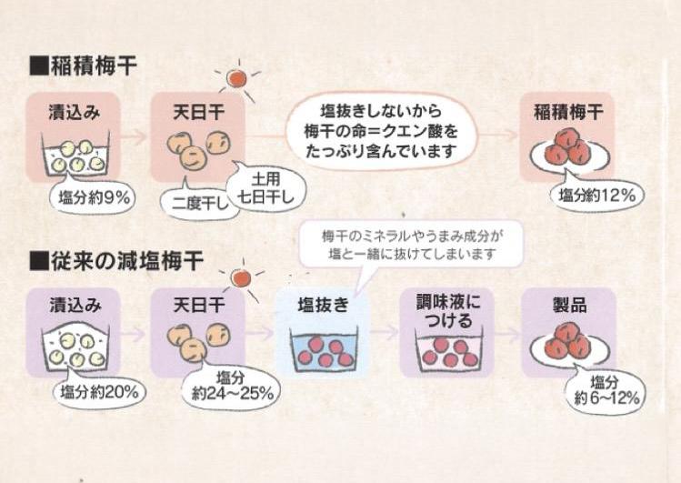 一度食べたら忘れられない？「氷見稲積梅」の梅干し-1