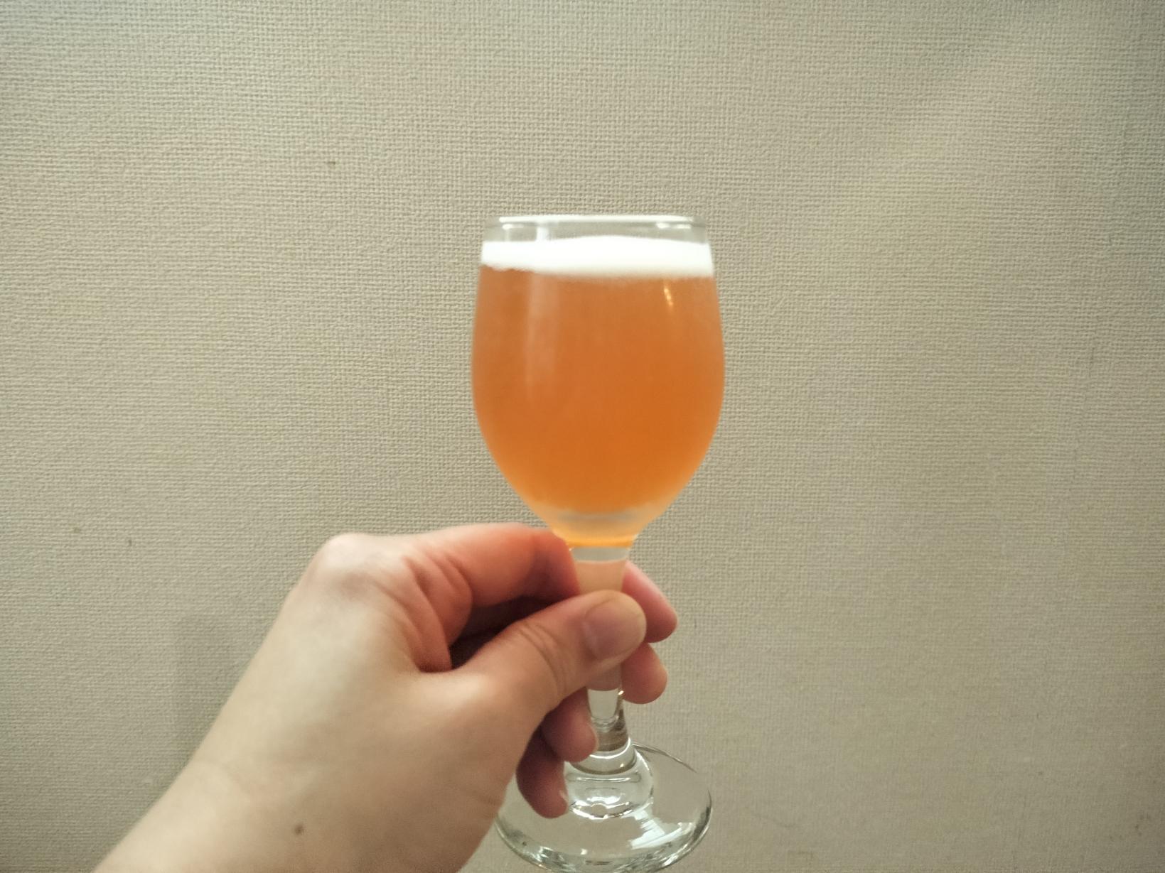 富山でクラフトビールを楽しんで-1
