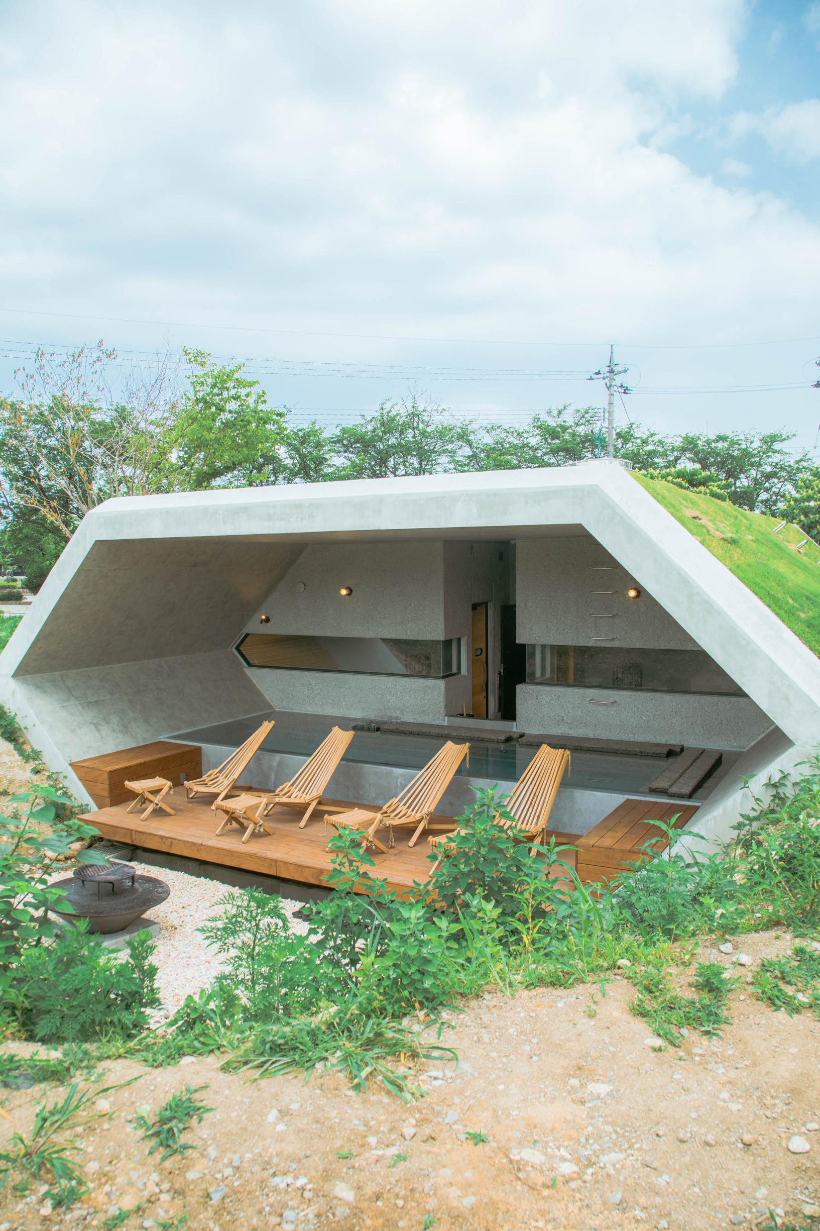 Healthian-wood（ヘルジアンウッド）［The Hive］-1