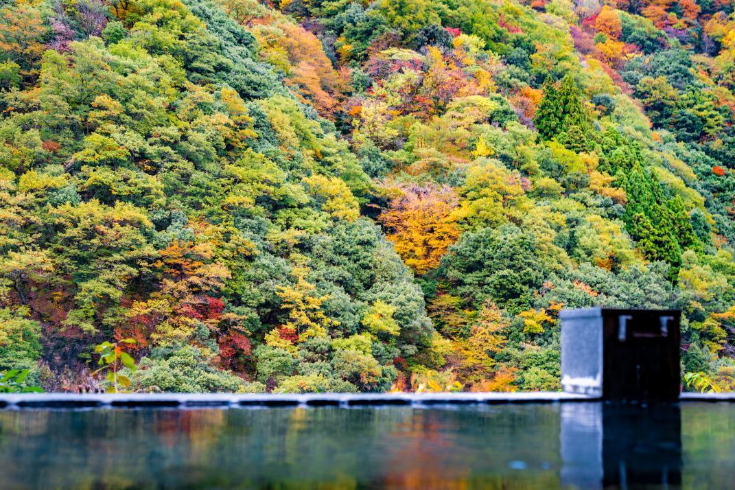 【県民ライター】宇奈月温泉（うなづきおんせん）の日帰り温泉とおすすめグルメ！-1
