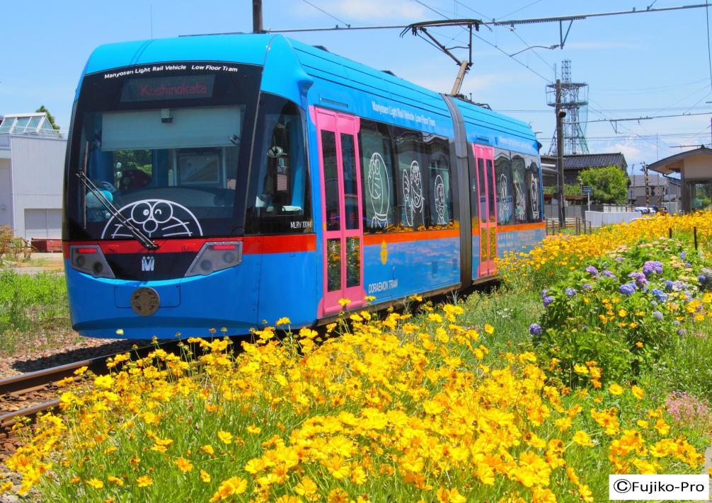 도라에몽트램-1