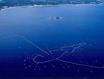 세계가 주목! 물고기에 친화적인 정치망어업-1