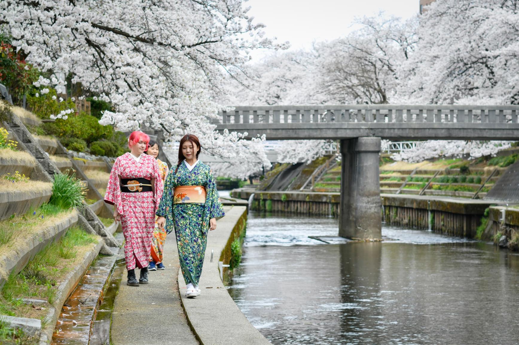 浴衣で花火大会へ出かけて、夏の思い出を彩りませんか？-1