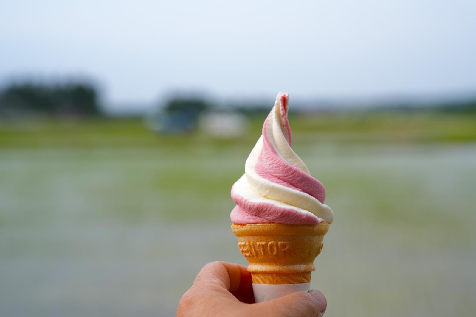 車で１分の農家レストランも注目！-1