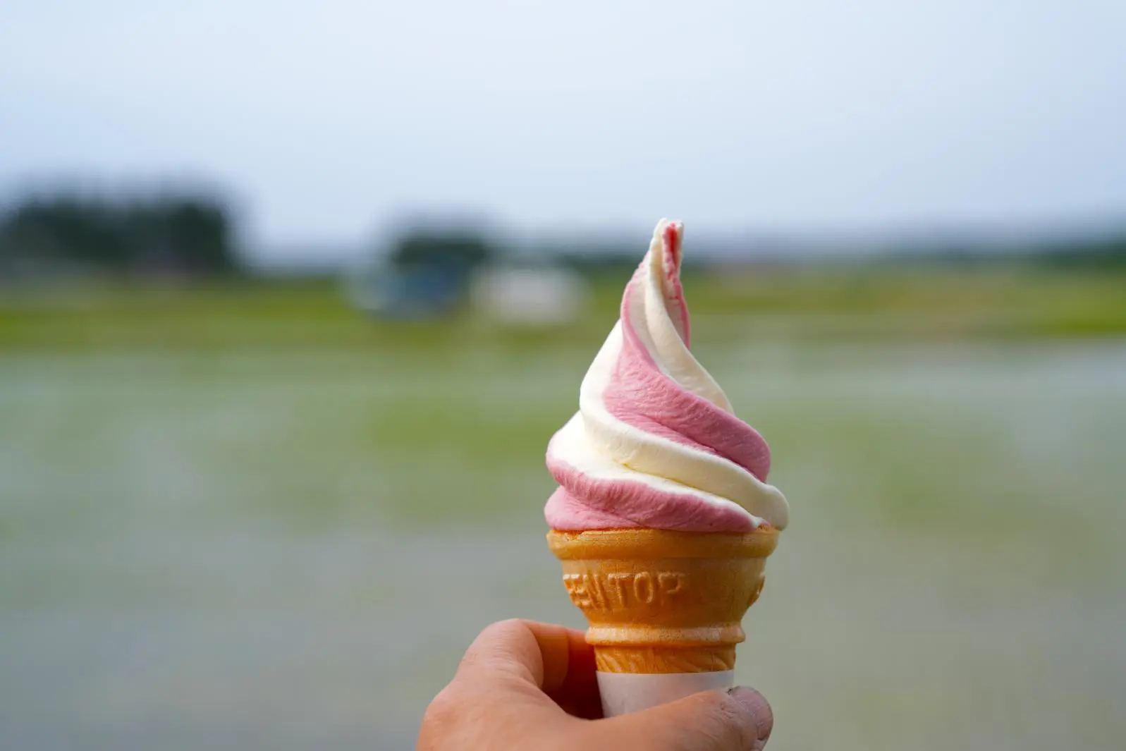 車で１分の農家レストランも注目！-1