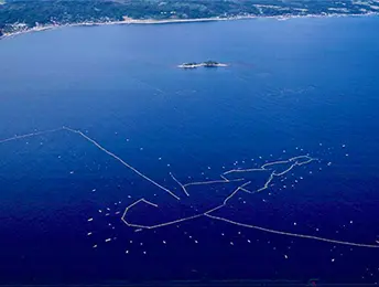 世界が注目！魚にやさしい定置網漁業-1
