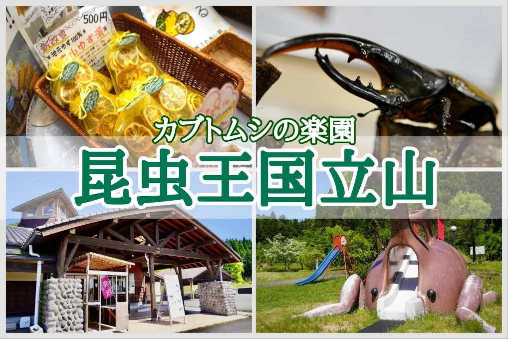 併せて読みたい！地元ライターのレポート記事-1